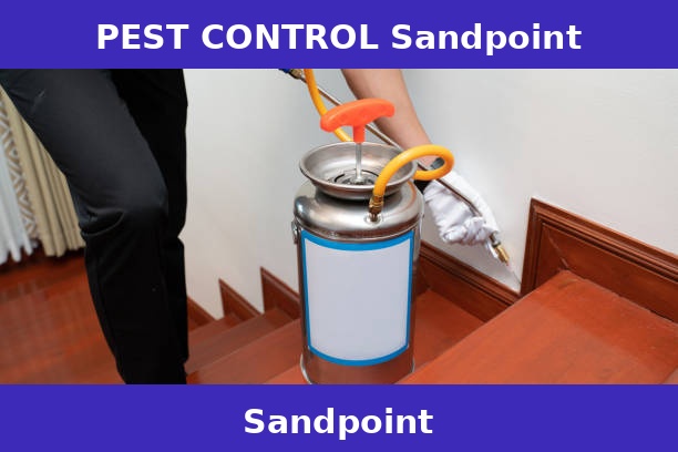 PEST CONTROL Sandpoint